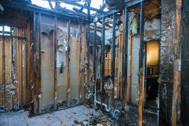 Professional Fire Damage Repair technician working in Elmwood, WI